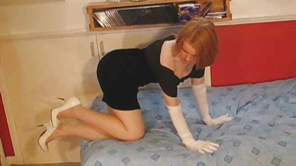 ត្រាំស្រមោចរបស់ Dana DeArmond ត្រូវបានគេវាយពីខាងក្រោយដោយ Brick Danger